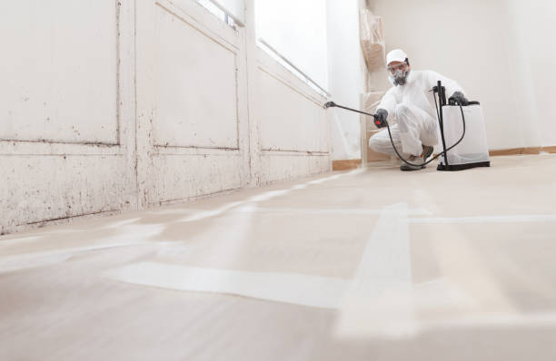 24/7 Emergency Mold Inspection experts in Jackson, TN