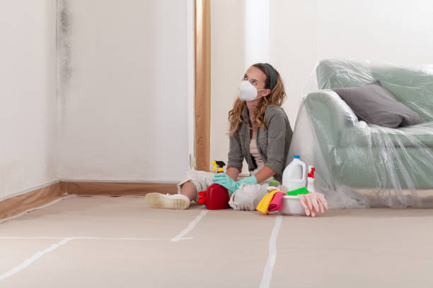 Reliable Mold Inspection contractor in Jackson, TN by WQB Mold Removal